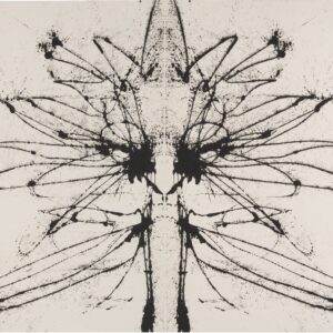 Inkblot 8_PHR