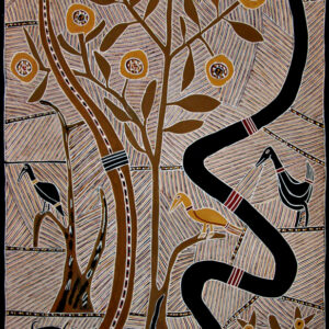 THE STRINGYBARK TREE