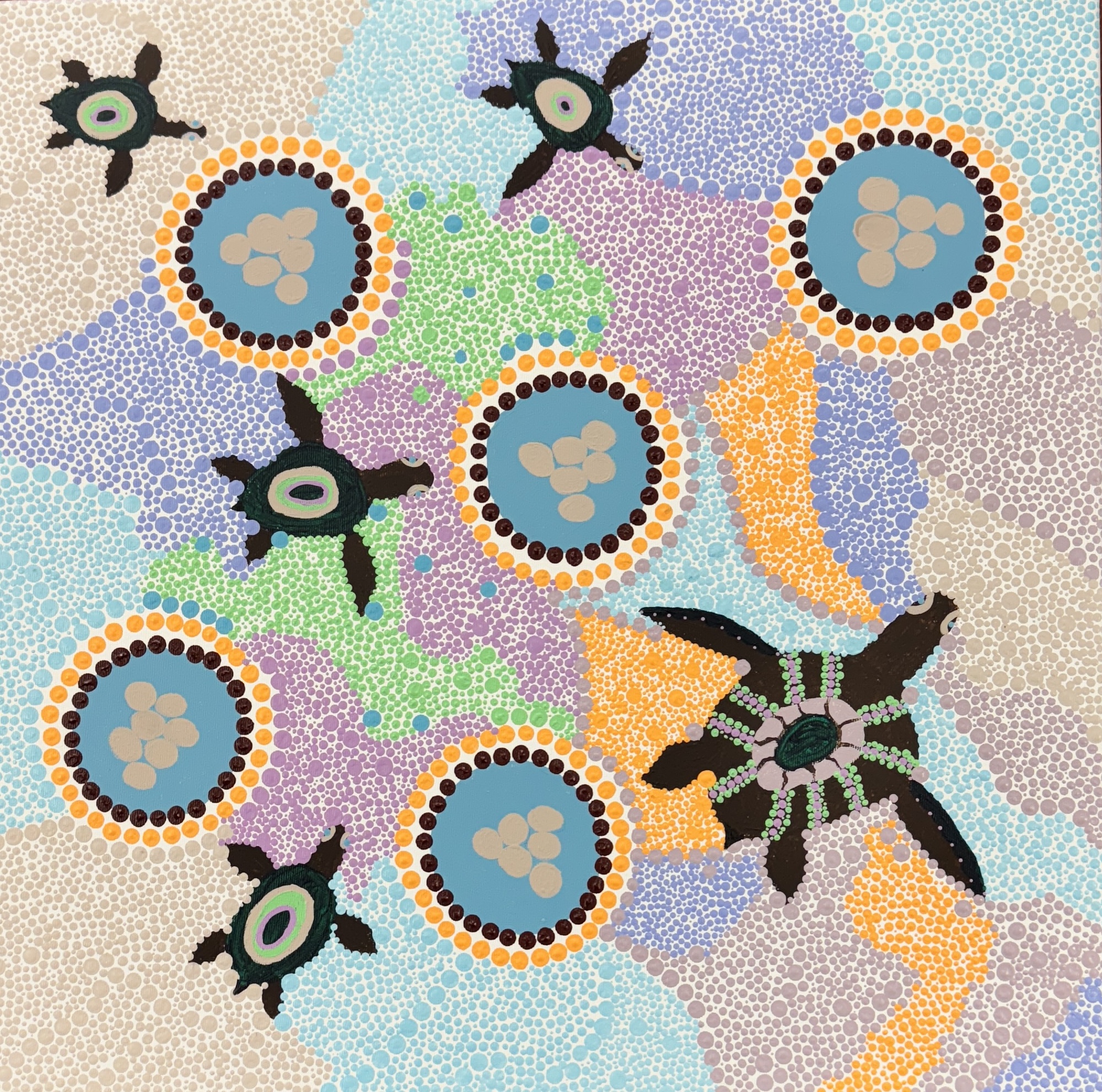 BIDI Art from Badimaya Land