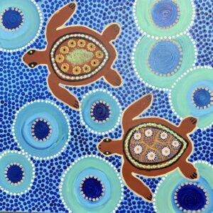 Turtles on Country